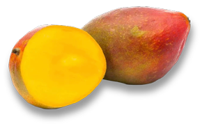 mango2x.png